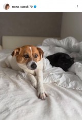 ��ؓށX�u���̃x�b�h�̏�ɂ������������ƃN������񂪈ꏏ�ɂ��܂��v(�ʐ^�̓C���X�^�O���� @nana_suzuki79 ���) 