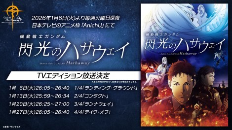 �w�@����m�K���_�� �M���̃n�T�E�F�C �L���P�[�̖����x���J�L�O�̊��n���iC�j�n�ʁE�T�����C�Y 