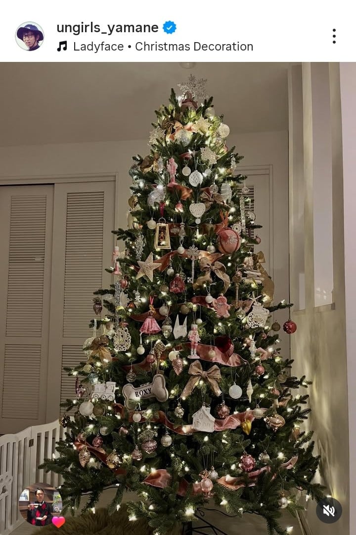 AK[YRuN̏tv(ʐ^̓CX^O @ungirls_yamane ) 