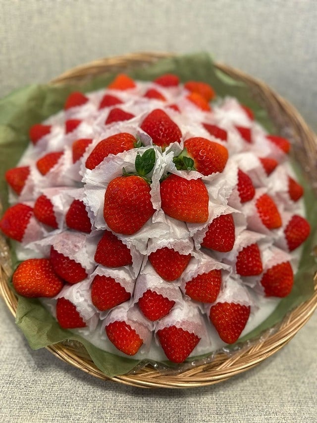 iIRulؓE񂲕vȂ獋؂ȁw䕁x𑡂Ē܂v(ʐ^́AiIRItBVuOwNAOKO KENx) 