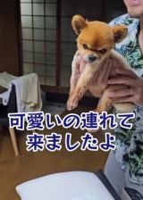 4�N����߂ă`�������Љ�(@sukekaku.fam) 