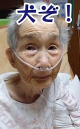 �u����͌���!�v�Ɠ`����ꂽ���΂������(@sukekaku.fam) 