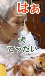 �u����͌���!�v�Ɠ`����ꂽ���΂������(@sukekaku.fam) 