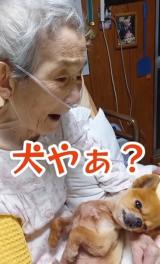 �u����͌���!�v�Ɠ`����ꂽ���΂������(@sukekaku.fam) 