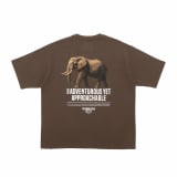 X^o~r[XA1212uSEASONAL CollectionvAj}vgTVc 