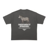 X^o~r[XA1212uSEASONAL CollectionvAj}vgTVc 