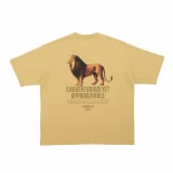 X^o~r[XA1212uSEASONAL CollectionvAj}vgTVc 