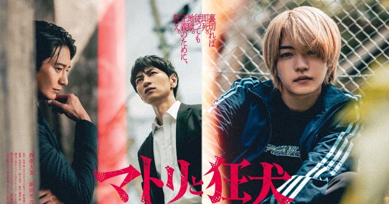 なにわ男子 西畑大吾 関連 なにわ男子・西畑大吾、連ドラ初単独主演で“麻薬の売人”に 品川ヒロシ