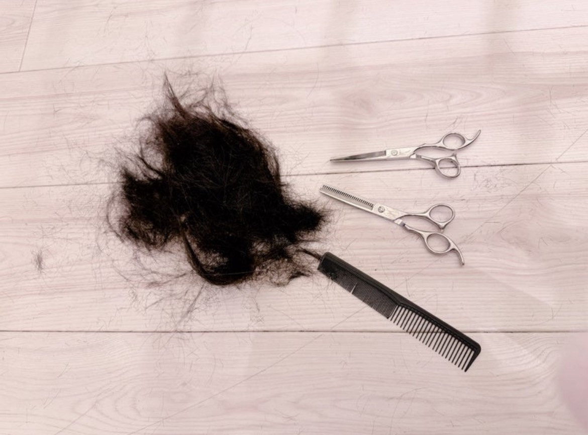 u2lă}}Jbgłƌc΁vuobT؂点Ē܂v(ʐ^̓uO) 