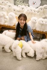 AKB48ɓS1sttHgubNwSԂBx BeEF D 