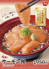 ƁwT[xo ZȎ|&Ƃ낯HŎ̖킢 