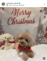 䗃uYɂĂ炢܂v(ʐ^̓CX^O @tsubasaimai_official ) 