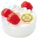 V[gP[L12̐F 䕍ʂ肠܂V[g 