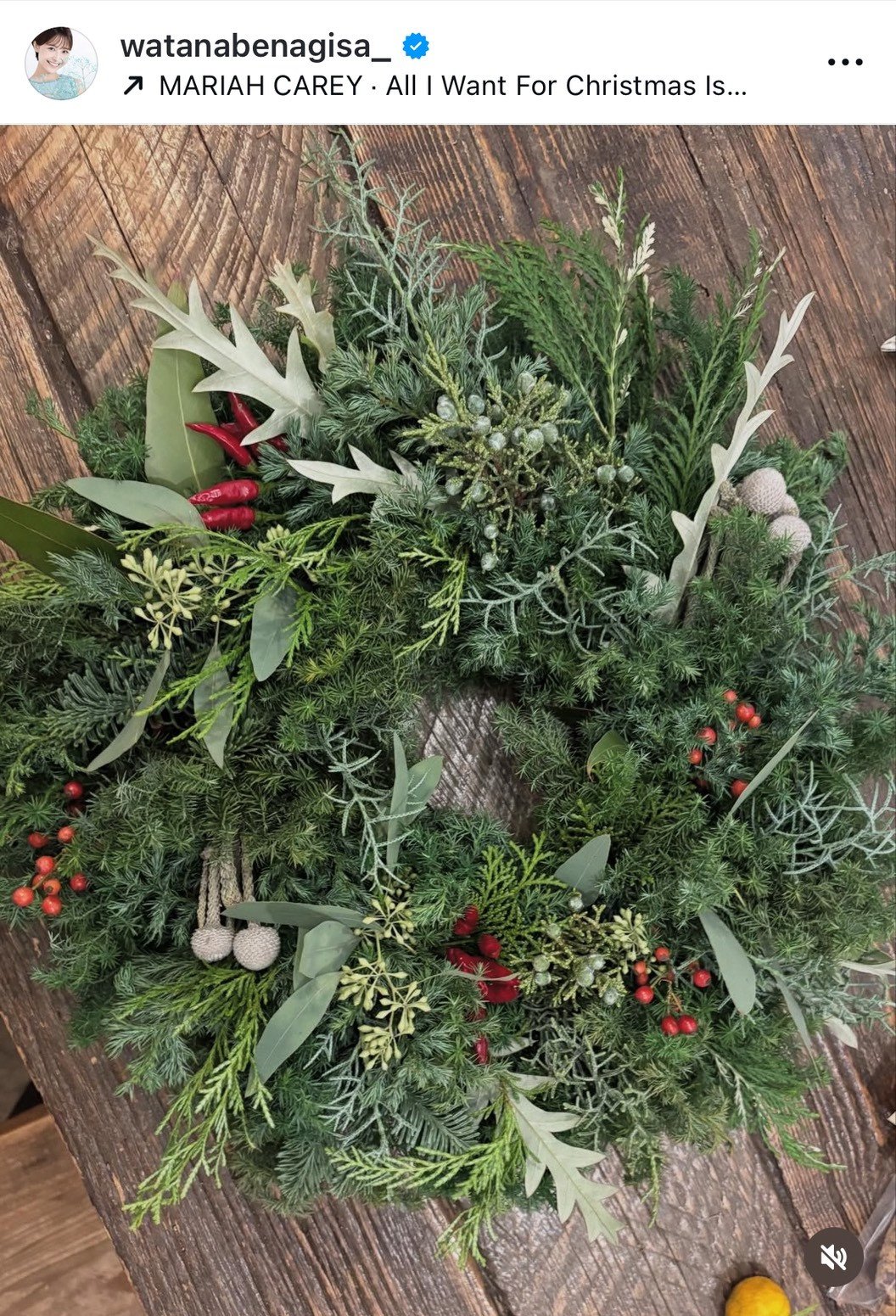 n粏uN̓NX}X[X3܂vuŌ̎ʐ^̓PP炵傫ȃ[Xv(ʐ^̓CX^O @watanabenagisa_ ) 