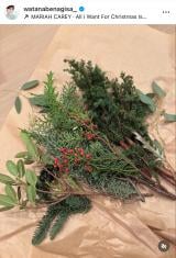 n粏uN̓NX}X[X3܂v(ʐ^̓CX^O @watanabenagisa_ ) 