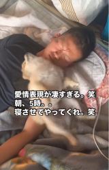 ��������ڊo�܂��ɋ��̕\��𕂂��ׂ�l�q/�q���E���ƃC�N�����̃|�����j�A�����L(@hyotoikura)���� �� 