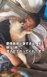 �S�g�����˂点�čő���̈���\��������C�N�������/�q���E���ƃC�N�����̃|�����j�A�����L(@hyotoikura)���� �� 