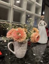 x݁uԉ̎s삳񂪁A䂪Ƃ̌ւ̚ɂԂĂ܂v(ʐ^̓uO) 