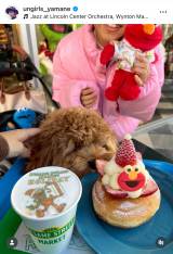 u128NV[̒âŖLF̃ZT~Xg[g}[PbgJtFɍsĂ܂!v(ʐ^̓CX^O @ungirls_yamane ) 