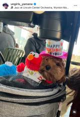 u128NV[̒âŖLF̃ZT~Xg[g}[PbgJtFɍsĂ܂!v(ʐ^̓CX^O @ungirls_yamane ) 