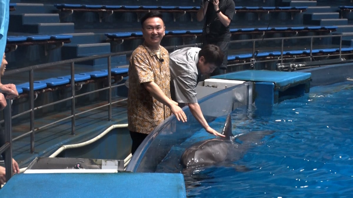 13w܂̒m񂯂ǁx(C)MBS 