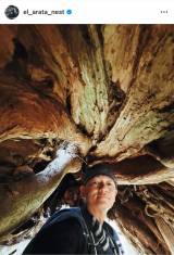 ��Y�V�u�h���N�G���v(�ʐ^�̓C���X�^�O���� @el_arata_nest ���) 