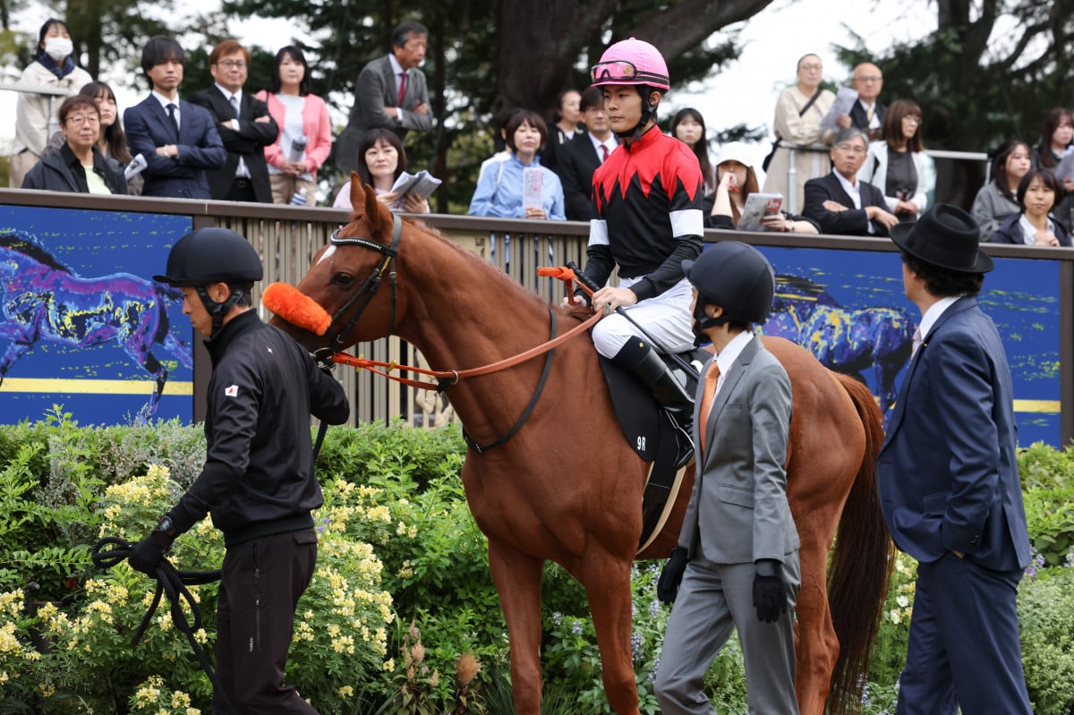 ザ・ロイヤルファミリー』最終回ぬいぐるみ話題 作戦会議に登場「可愛