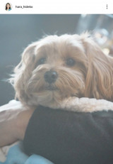 �����o�q�u�ō��ł����v(�ʐ^�̓C���X�^�O���� @hara_hideko ���) 