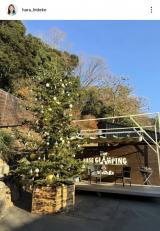 �����o�q�u�ō��ł����v(�ʐ^�̓C���X�^�O���� @hara_hideko ���) 