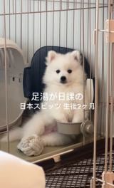 �������ނ��Ǝv������c����2�����̃X�s�b�c���������������s�� 