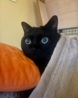 �܂�ۂ̓��ő��̊O�̒�������g�������/��������(@coco_nyanco2)�� 