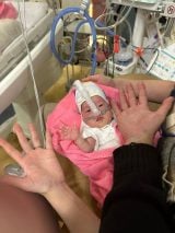 �������̃T�C�Y���͂��̂��炢 