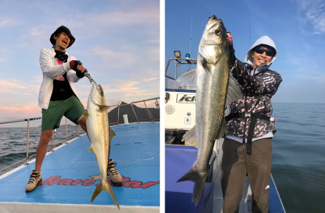 ���ؒ��l���w���C�����A���O���[�� 2026�x��� 