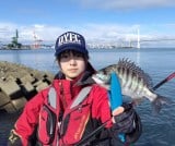 �ނ���y���ނ���������/�u������@���q�����A���O���[�v����(@aoi.yamashita.jp)�� 