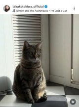 ��ՋM�q�u�`���D�� �L�炵���A�ǂ��`���Ȃ��Ƃ������S����v (�ʐ^�̓C���X�^�O���� @takakotokiwa_official ���) 