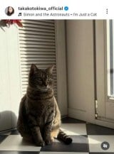 ��ՋM�q�u�`���D�� �L�炵���A�ǂ��`���Ȃ��Ƃ������S����v (�ʐ^�̓C���X�^�O���� @takakotokiwa_official ���) 