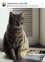 ��ՋM�q�u�`���D�� �L�炵���A�ǂ��`���Ȃ��Ƃ������S����v (�ʐ^�̓C���X�^�O���� @takakotokiwa_official ���) 