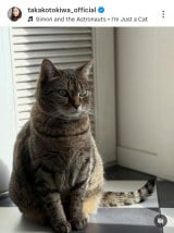 ��ՋM�q�u�`���D�� �L�炵���A�ǂ��`���Ȃ��Ƃ������S����v (�ʐ^�̓C���X�^�O���� @takakotokiwa_official ���) 