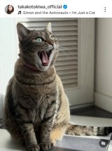 ��ՋM�q�u�`���D�� �L�炵���A�ǂ��`���Ȃ��Ƃ������S����v (�ʐ^�̓C���X�^�O���� @takakotokiwa_official ���) 