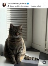 ��ՋM�q�u�`���D�� �L�炵���A�ǂ��`���Ȃ��Ƃ������S����v (�ʐ^�̓C���X�^�O���� @takakotokiwa_official ���) 