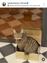 ��ՋM�q�u�`���D�� �L�炵���A�ǂ��`���Ȃ��Ƃ������S����v (�ʐ^�̓C���X�^�O���� @takakotokiwa_official ���) 