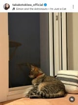 ��ՋM�q�u�`���D�� �L�炵���A�ǂ��`���Ȃ��Ƃ������S����v (�ʐ^�̓C���X�^�O���� @takakotokiwa_official ���) 