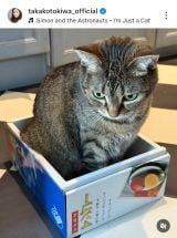 ��ՋM�q�u�`���D�� �L�炵���A�ǂ��`���Ȃ��Ƃ������S����v (�ʐ^�̓C���X�^�O���� @takakotokiwa_official ���) 