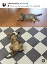 ��ՋM�q�u�`���D�� �L�炵���A�ǂ��`���Ȃ��Ƃ������S����v (�ʐ^�̓C���X�^�O���� @takakotokiwa_official ���) 