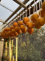 ���i�I�R�u���N���Z�v�w������������` ��R�����Ă��Ă���܂����v(�ʐ^�́A���i�I�R�I�t�B�V�����u���O�wNAOKO KEN�x���) 