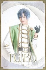 �y��̍��z�t�B�K��:�a���^��(C)coly/����܂ق₭����ψ��� 