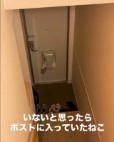 �Q�ĂĒT������|�X�g�ɓ������Ȃ����𔭌�/�݂��&�Ȃ���(@mirin_tsuna) �� 