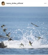 ���M���q�u���N�B�e���������A���傱���ƌ��Ă��������v(�ʐ^�̓C���X�^�O���� @isono_kiriko_official ���) 