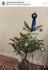 �ʈ䎍�D�����J�����N���X�}�X�c���[(�ʐ^�̓C���X�^�O���� @shioritamai_official ���) 