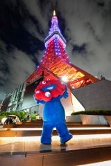 ���ׂ̃n���J�X�ߓS�{�X�w���E�֐������񓹎ʐ^�W�x��� 